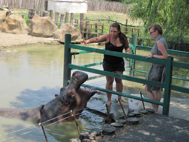 Сафари-парк Зоопарк - отзывы, фото и видео зоопарка