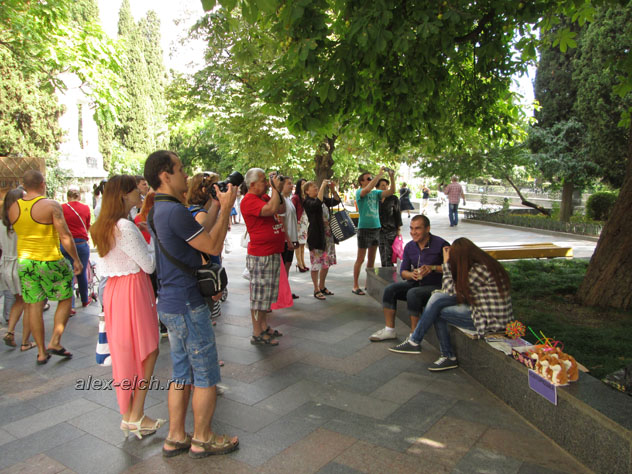 Ялта Пушкинская улица фото люди смотрят на белок