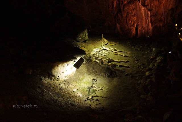пещера Эмине-Баир-Хосар фото скелеты