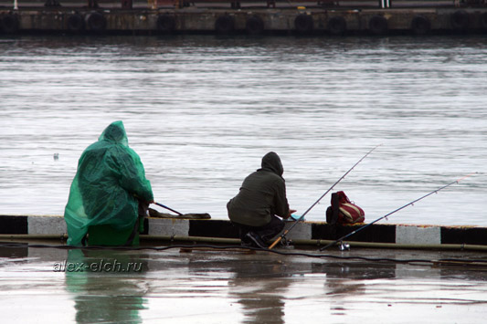 Поездка в Ялту, рыбаки на набережной