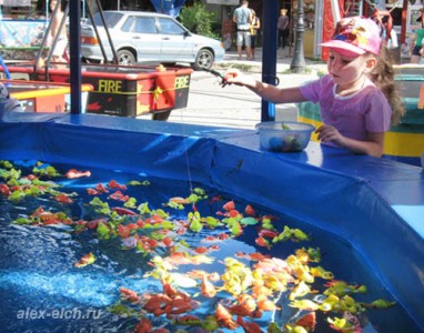 автопутешествие поездка в Алушту 2012