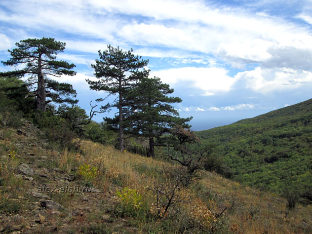 Фото Крым, Алушта, вершина Серауса панорама Алушты