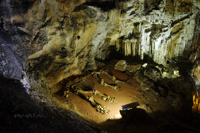 пещера Эмине-Баир-Хосар фото скелет