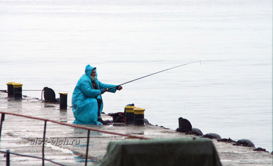 Поездка в Ялту, рыбаки