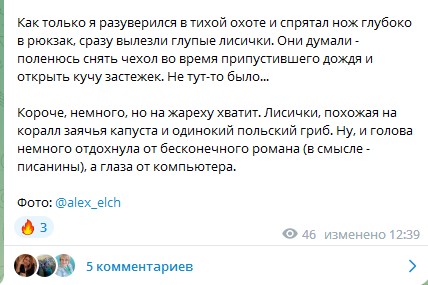 сбор грибов в Крыму